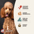 Fromm Four-Star Dry Dog Food - Chicken Au Frommage - 12lb Bag